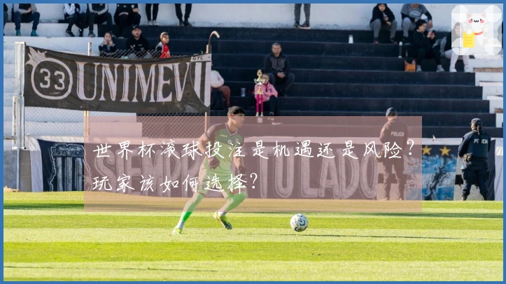 世界杯滚球投注是机遇还是风险？玩家该如何选择？