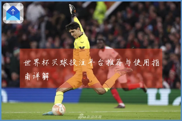 世界杯买球投注平台推荐与使用指南详解