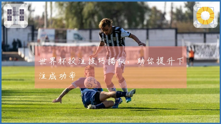 世界杯投注技巧揭秘，助你提升下注成功率