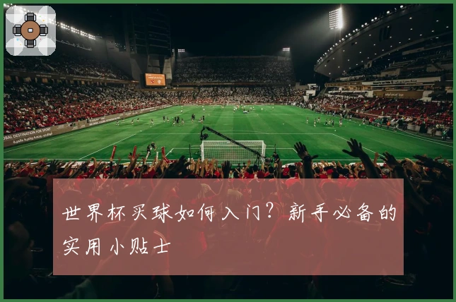世界杯买球如何入门？新手必备的实用小贴士
