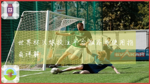 世界杯买球投注平台推荐与使用指南详解